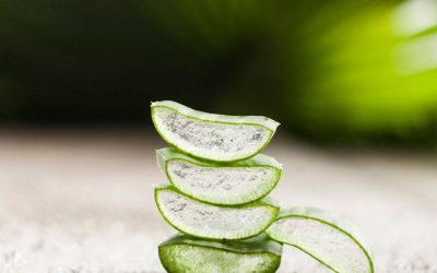 Aloe Vera después de la depilación láser